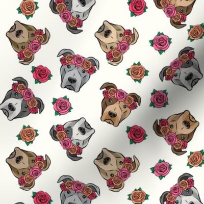 all the pit bulls - floral crowns -  cream