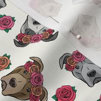 all the pit bulls - floral crowns -  cream