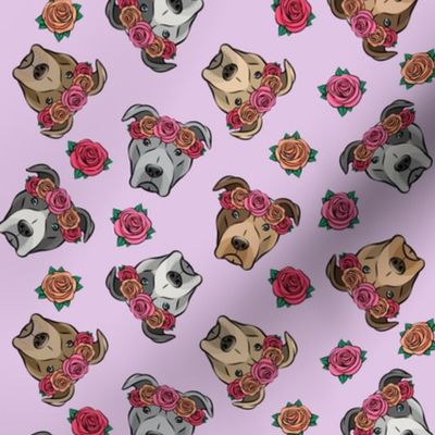 all the pit bulls - floral crowns -  purple