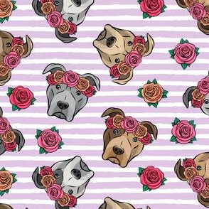 all the pit bulls - floral crowns -  purple stripes