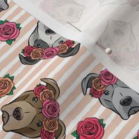 all the pit bulls - floral crowns -  blush stripes