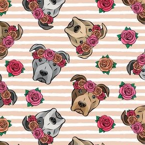all the pit bulls - floral crowns -  blush stripes