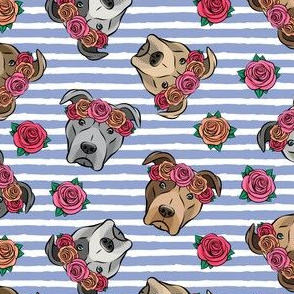 all the pit bulls - floral crowns -  stripes