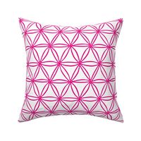 Pink geometric diatoms 