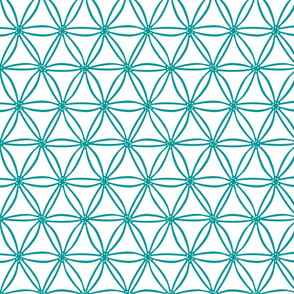 Turquoise geometric Diatoms