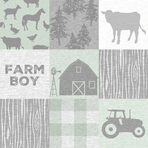 Farm Boy Quilt - pastel green and grey