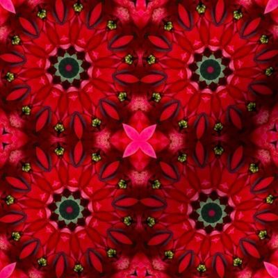 Poinsettia Pinwheels 3113