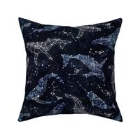 Whale constellations
