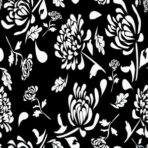 Chrysanthia lg black and white