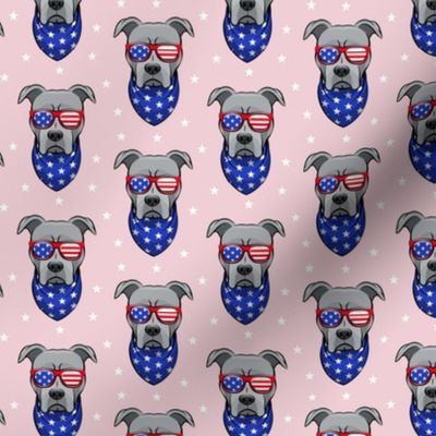 (small scale) patriotic Pit Bull on pink C18BS