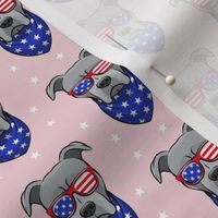 (small scale) patriotic Pit Bull on pink C18BS