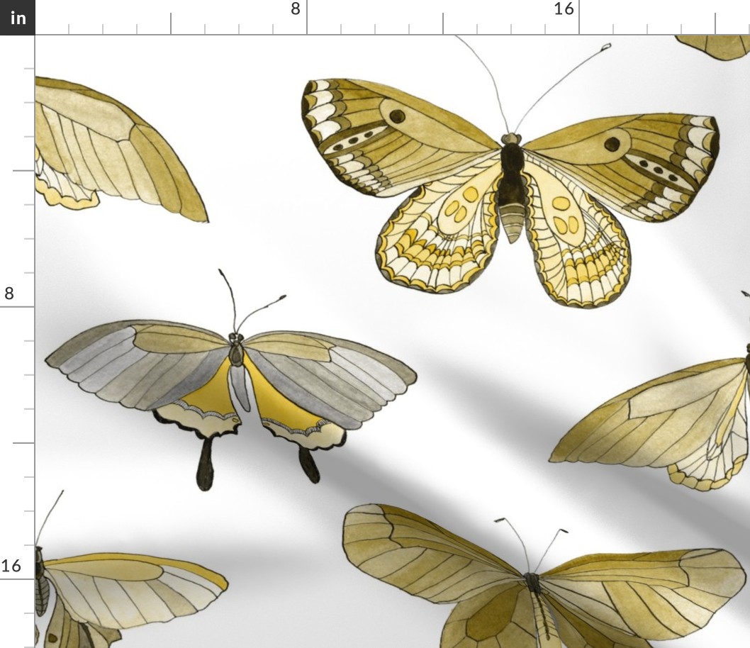 butterflies large scale in ochre