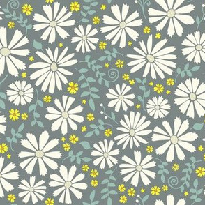 Field of daisies - White and yellow on grey