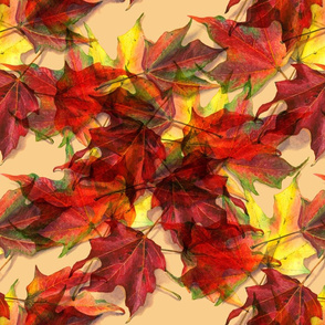 Maple Leaves Pattern