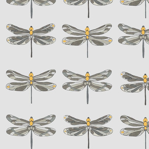  Taupe gray and amber dragonflies on gray