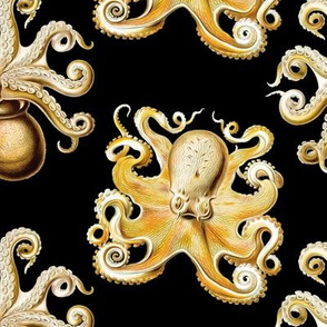 haeckel's octopus  black and gold