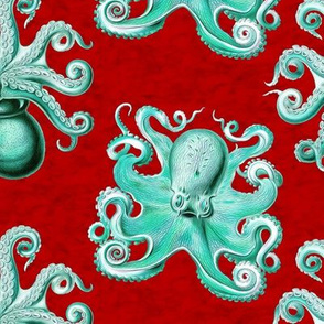 haeckel's octopus  teal+red ink