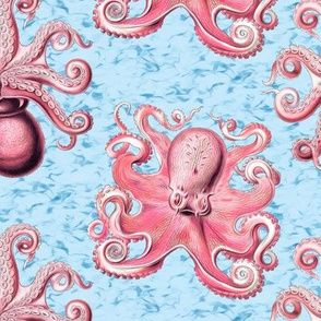 haeckel's octopus  pink+turquoise ink