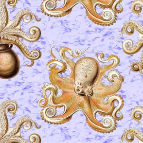 haeckel's octopus  brown+indigo ink