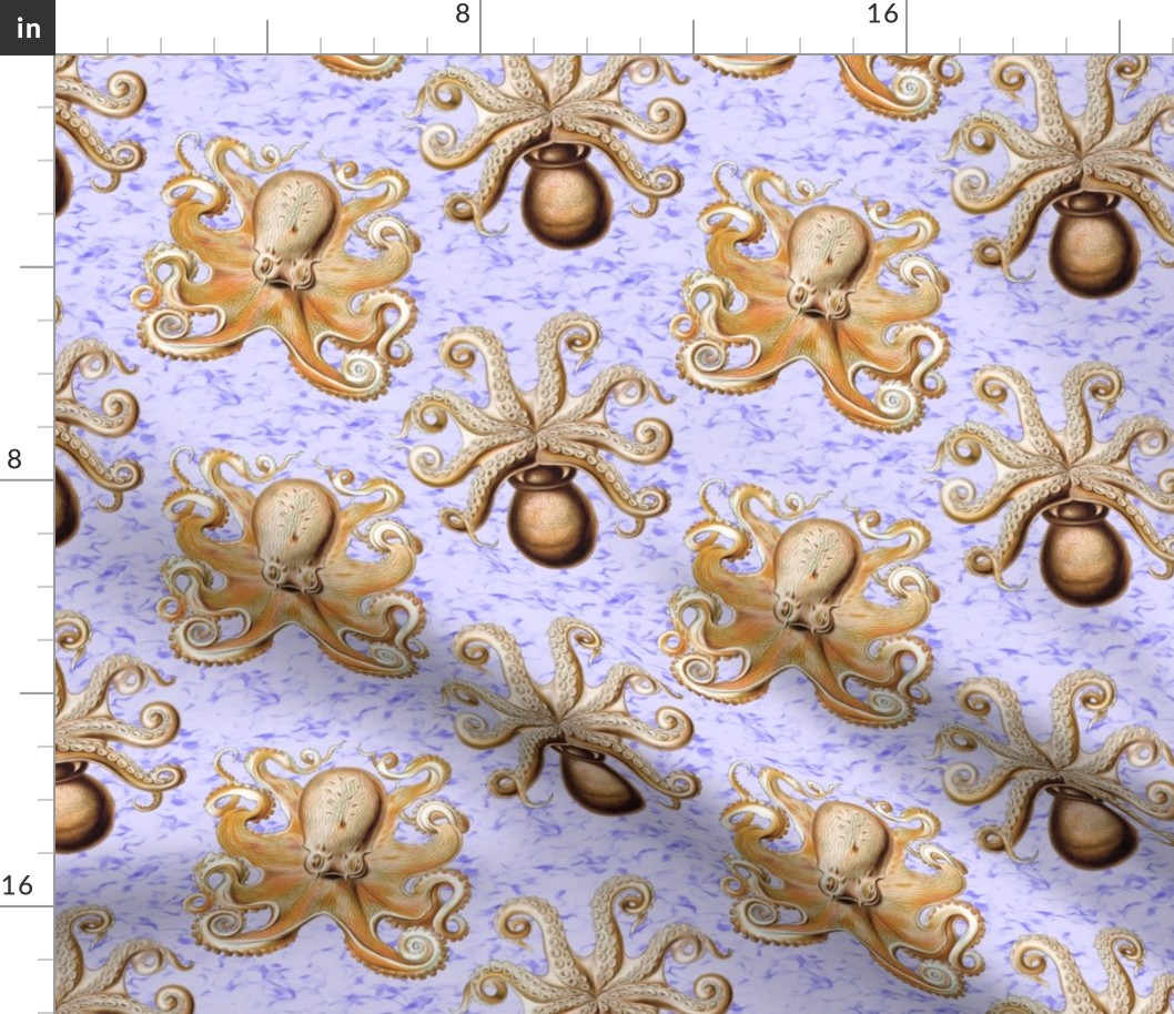 haeckel's octopus  brown+indigo ink