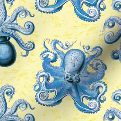 haeckel's octopus  blue+yellow ink