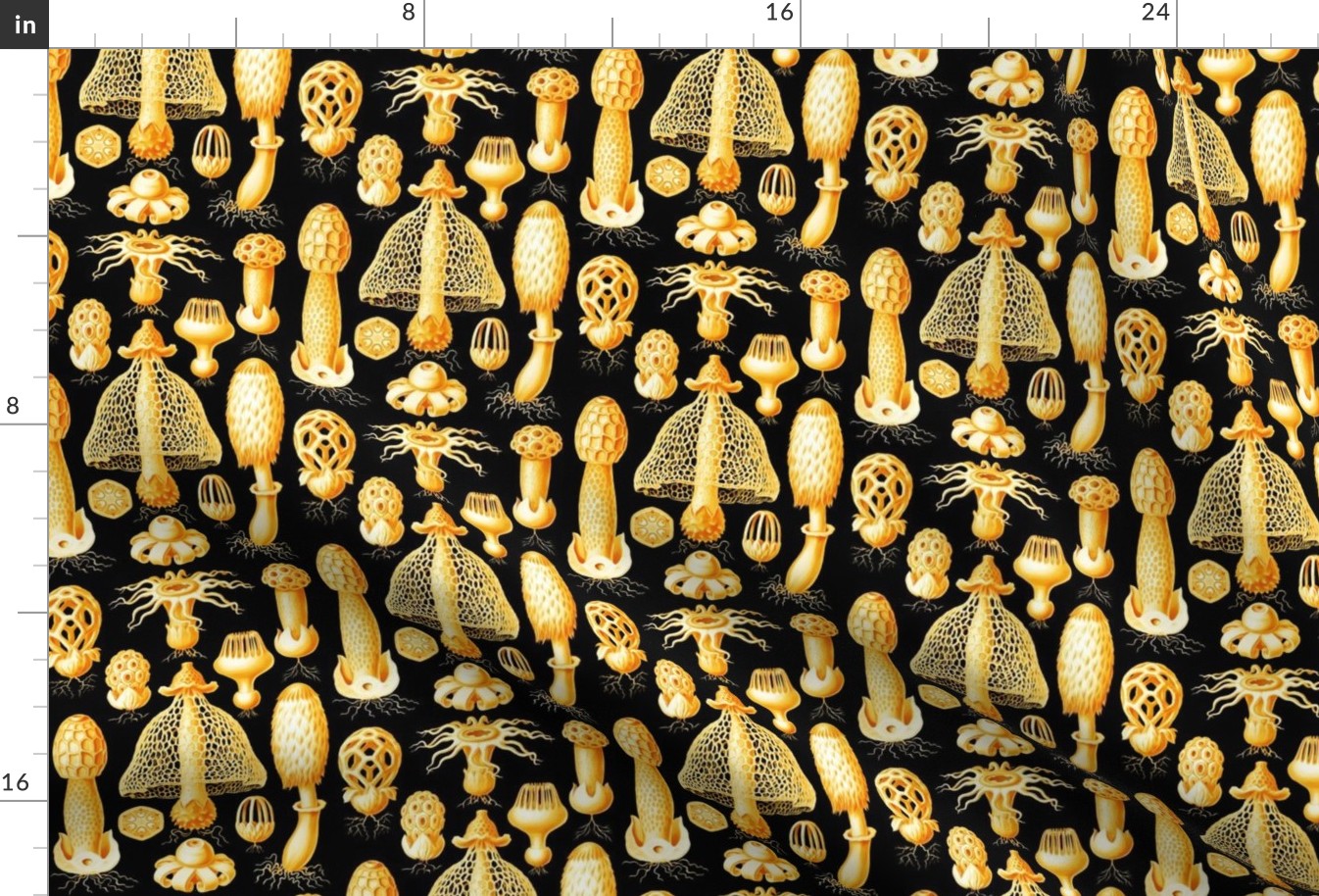 Haeckel's mushrooms black and gold