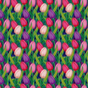 Tulips