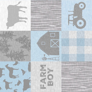 Farm Boy Quilt - Baby Blue - rotated