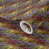 Flower Field | Photorealistic Multi Stripe