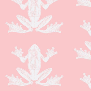 vintage frog illustration in Pastel Pale Pink