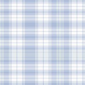 Alice Blue Plaid1