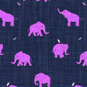 pink elephant on navy