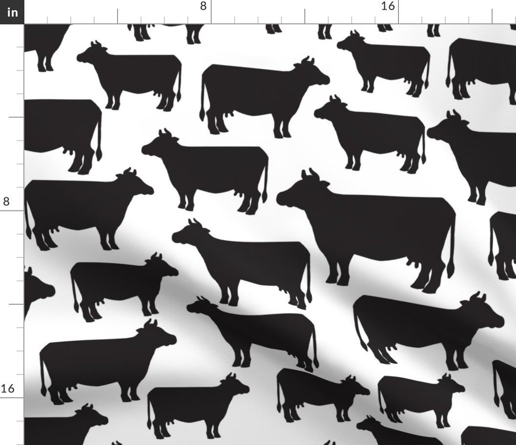 Cows Black on White