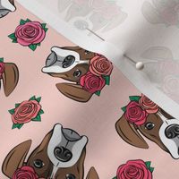 boxer  - floral crowns - flash on pink