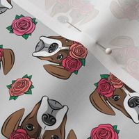 boxer  - floral crowns - flash on grey