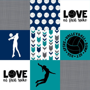 Volleyball//Love at first spike - Wholecloth Cheater Quilt 