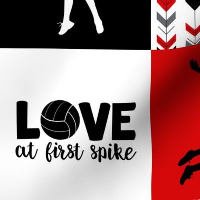 Volleyball//Love at first spike//Loboes - Wholecloth Cheater Quilt