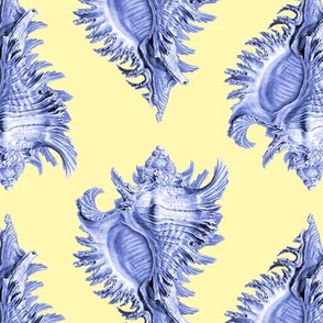 Haeckel conch bright yellow 