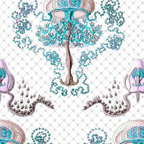 Haeckel's jellyfish damask turquoise+mauve