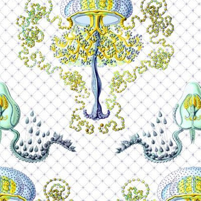 Haeckel's jellyfish damask blue+ gold