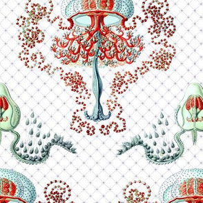 Haeckel's jellyfish damask red+blue