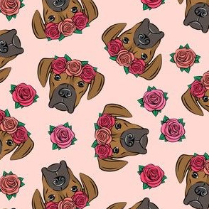 boxer  - floral crowns - fawn on pink