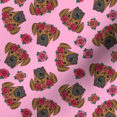 boxer  - floral crowns - fawn on dark pink