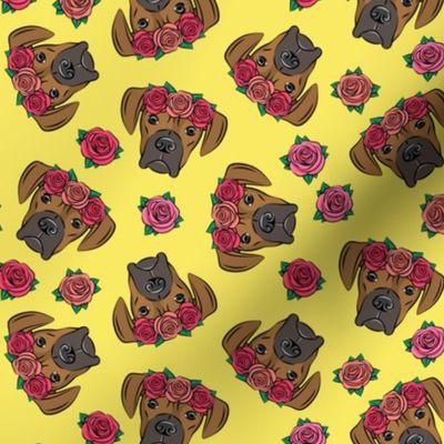 boxer  - floral crowns - fawn on yellow