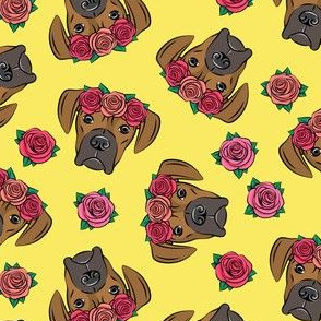 boxer  - floral crowns - fawn on yellow