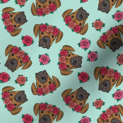 boxer  - floral crowns - fawn on aqua