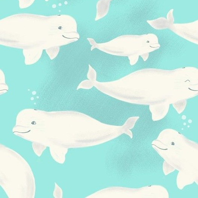 beluga whale wallpaper