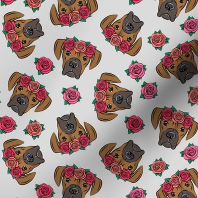 boxer  - floral crowns - fawn on grey