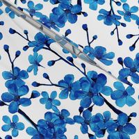 blue cherry blossom watercolor