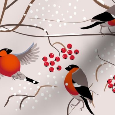 Winter birds